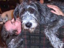 Owner Cliff with Caesar 6 months old at home on couch 01-2005