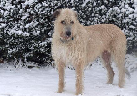 Jazz's Photo Gallery