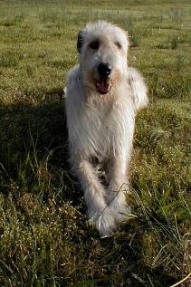 Jazz's Photo Gallery