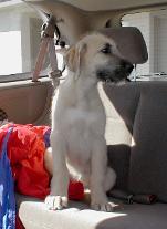Click on picture to see slide show of Lacy and visitors