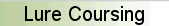 Lure Coursing