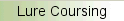 Lure Coursing
