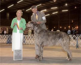 Picture by Garden photos - June 16,2007 Texarkana Best of Breed