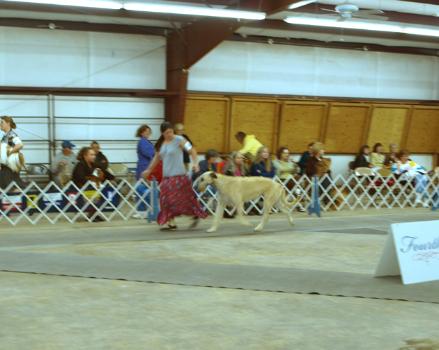 Sonoma's Photo Gallery