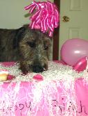 Click on picture to see more photos of Wendy's Birthday