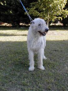 Clancy in April of 2005