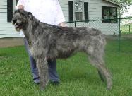 Kodiak in May 2005
