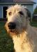 Lacy 05-12-09