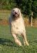 Lacy 06-18-08
