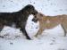 Shay and Lacy 03-2008