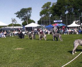 Click on picture to see photo's of Lacy during her time in the ring.